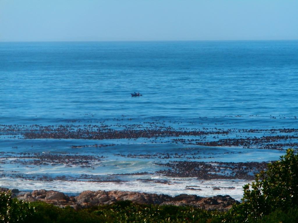 Belle Vue Guesthouse Hermanus Exterior photo